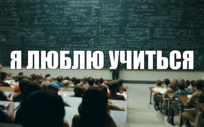 Иллюстрация к статье «Любите учиться? Собираем истории и отзывы про образовательные программ»
