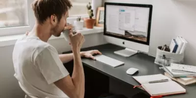 Интернет урок или фоксфорд : какую школу выбрать?