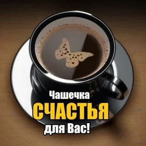 ИП Павленко Е.В.
