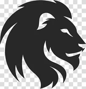Образовательный центр LION