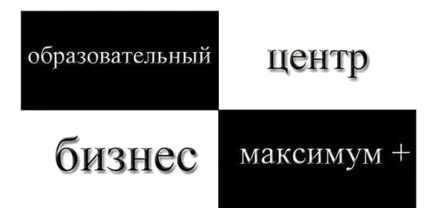 ЧП «Центр „Бизнес-Максимум“ плюс»