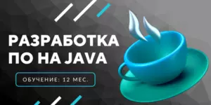  Java разработка