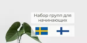 Курсы для начинающих изучение шведского и финского языков
