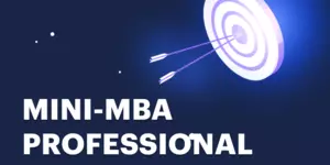 Mini-MBA Professional