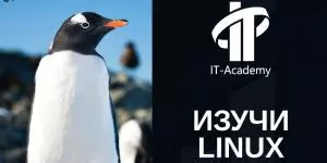 Системный администратор Linux
